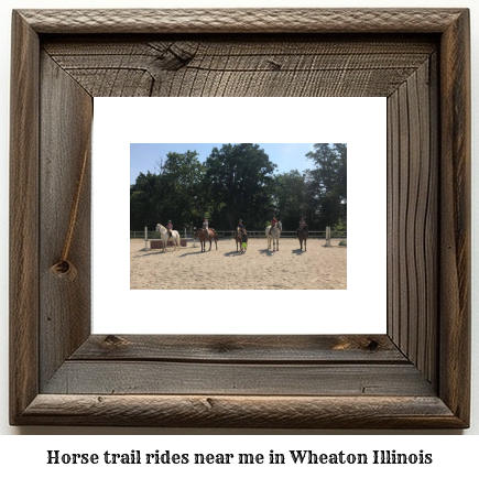 horse trail rides near me in Wheaton, Illinois